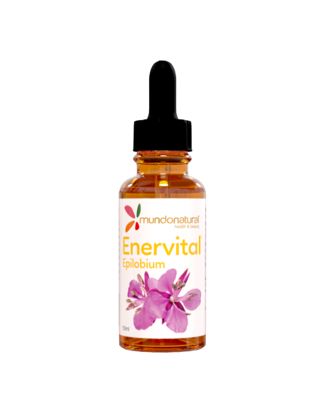 Enervital epilobium parviflorum 50 ml Mundonatural