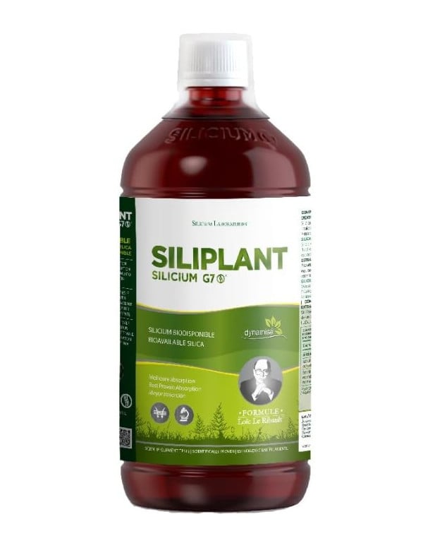 Silicium Siliplant G7 1Litro .Silicium España