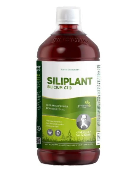 Silicium Siliplant G7 1 Litro. Silicium España
