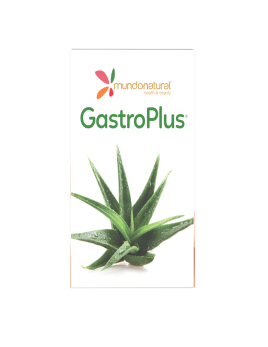 Gastroplus 20 stick 10 ml. Mundonatural