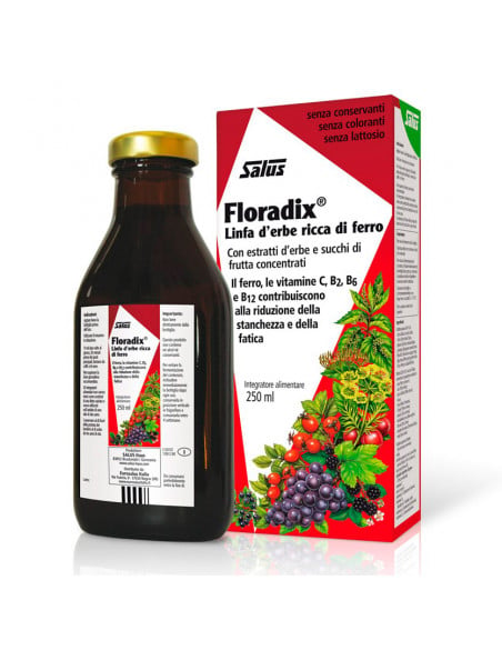 Floradix 250 ml. Salus