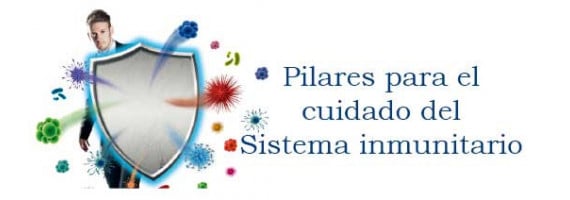 Los tres pilares para el buen funcionamiento del sistema inmunológico