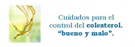 Diferencias entre el colesterol bueno y colesterol malo