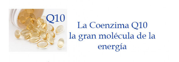 Coenzima Q10, la gran molécula de la energía