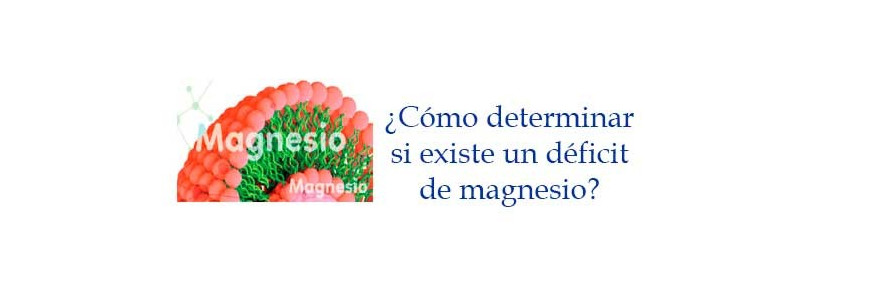 ¿Cómo determinar si existe un déficit de magnesio?